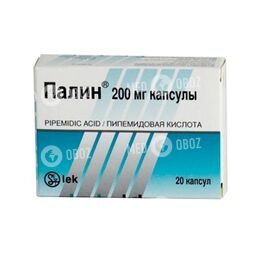 Палин Алматы